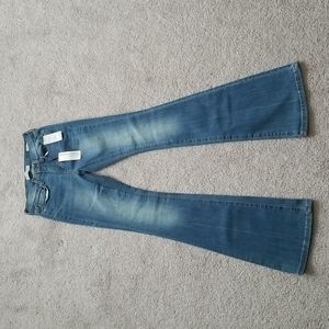 NWT Petite 24" Flare jeans Banana Republic